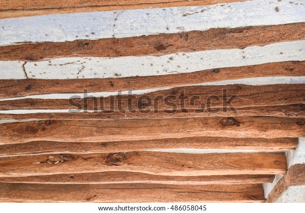 Larvae Woodworm Ceiling Beans Stock Photo Edit Now 486058045