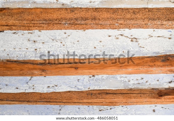 Larvae Woodworm Ceiling Beans Stock Photo Edit Now 486058051