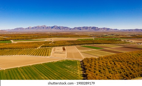 Las Cruces Farms In New Mexico