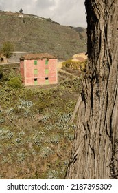 Las Lagunetas, November 25, 2020: Traditional House And Tree Trunk In The Foreground. San Mateo. Gran Canaria. Canary Islands. Spain.