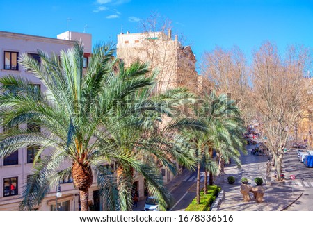 Similar – Image, Stock Photo Ramblas Sky Tree