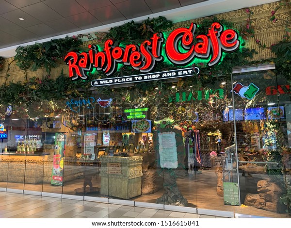 Rainforest Cafe Las Vegas - nature wallpaper