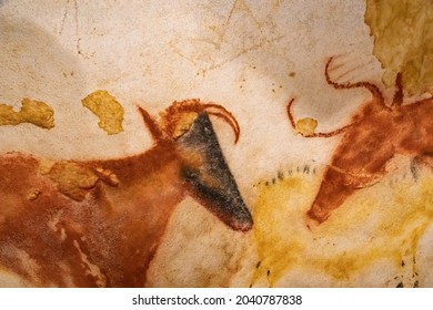 Lascaux, France - August 6, 2121: Prehistoric oxen depicted in Lascaux caves
