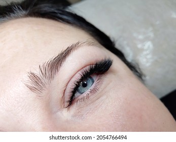 Lash Extensions In Beauty Salon Macro Eye 