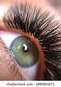 Lash Extensions Macro Eye Top View 