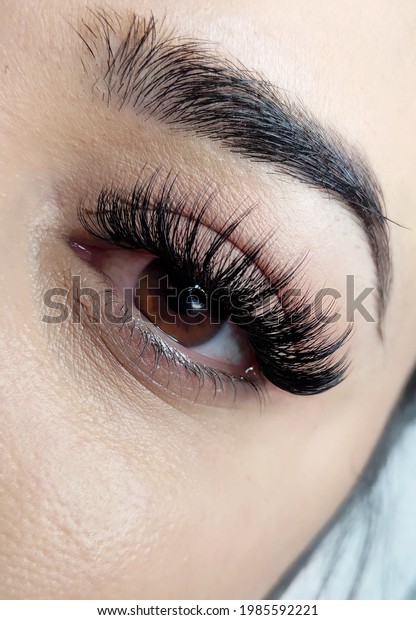 lash extensions macro eye\
top view 