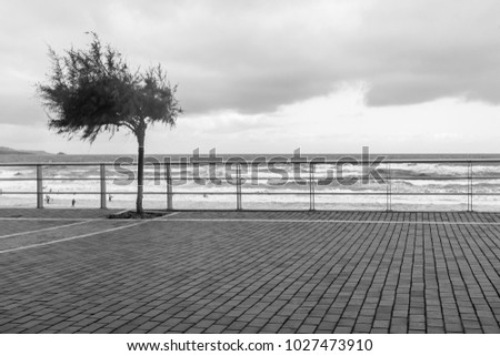 Similar – Image, Stock Photo phone alone Beach Italy