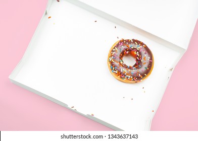  Last chocolate donut in empty box on pastel pink background