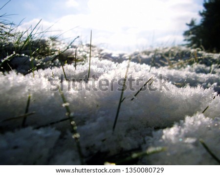 Similar – Image, Stock Photo Winter vs. Spring