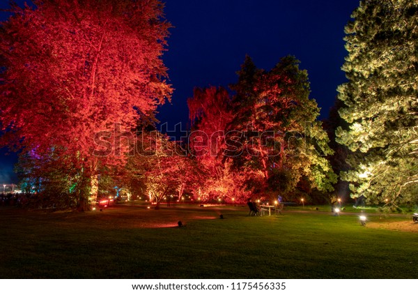 Last Night Enchanted Forest Magic Park Stock Photo Edit Now