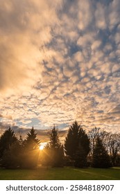 The last rays of sun filtered through some conifer trees  light up dramatic cloud formations as the sun sets over the Dordogne region of France