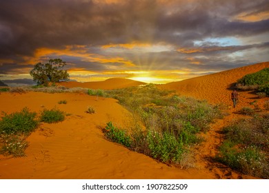 386 Australian bush setting Images, Stock Photos & Vectors | Shutterstock