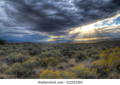 The Last Sun Rays