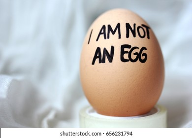 Lastra a Signa, Italy - September 1 2014:I am not an egg: incongruity concept. Words handwritten on the egg is the oppositie of what human eye see: contrast, opposition or contradiction concept.