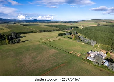 Late Afternoon In The Karkloof Valley