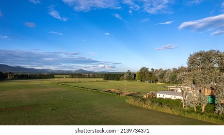 Late Afternoon In The Karkloof Valley