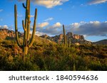 Late afternoon light creates beautiful shadows on Pusch Ridge and saguaros at Santa Catalina State Park, Oro Valley near Tucson, Arizona.