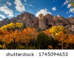 Late afternoon light spills over the landscape of Cave Creek Canyon illuminating the colorful autumn foliage.  Chiricahua Mountains near Portal, Arizona.