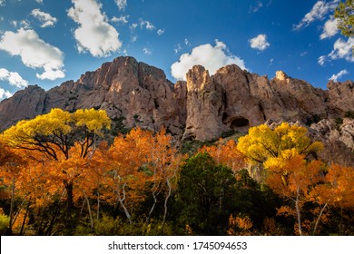 Late Afternoon Light Spills Over The Landscape Of Cave Creek Canyon Illuminating The Colorful Autumn Foliage.  Chiricahua Mountains Near Portal, Arizona.