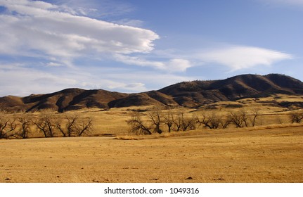 Late Afternoon Near Red Feather Lakes, Colorado, USA