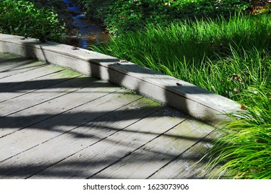 Late Afternoon Shadows Fall Across A Wooden Walkway Bridge Over A Stream In The Woods With Sporobolus Heterolepis
Prairie Dropseed, Ornamental Grass Growing Nearby