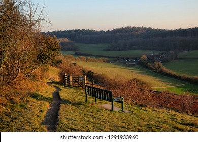 Late afternoon sunlight on Pewley Down outside Guildford, Surrey, UK