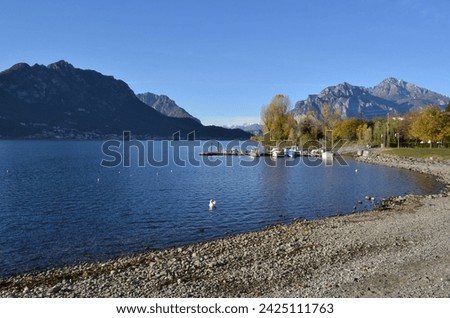 Late autumn beautiful landscape at lake Garlate of Lecco. Large surface of the water with a swan  and a large pebble beach in the foreground. Pier with motorboats anchored and city park at lakeshore.