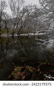 A late autumn dusting of snow along the banks of AuxSable Creek brings a reminder of winter to come, Baker Forest Preserve, Kendall County, Illinois