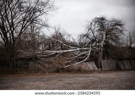 Similar – Image, Stock Photo Detail of partially destroyed old grave in a cemetery