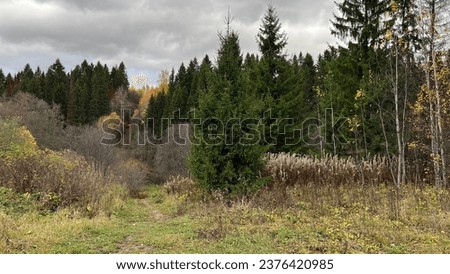 Late autumn in a natural park