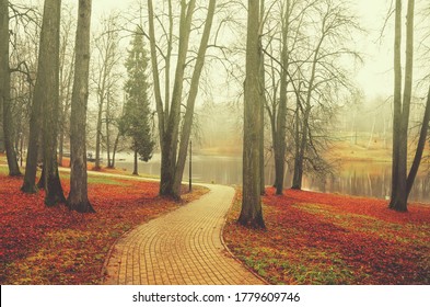 Late autumn nature landscape.Alley in empty park with bare trees and red fallen leaves during foggy november morning. - Shutterstock ID 1779609746