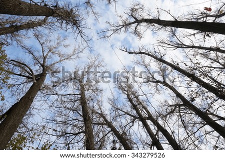 Similar – Foto Bild Herbstkälte Natur Pflanze