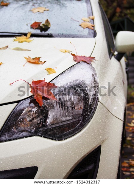 Late autumn, rainy, cold\
day. Autumn day, falling leaves on the rain-soaked hood of the\
car.
