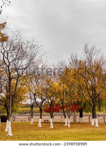 Late autumn street scene in the park