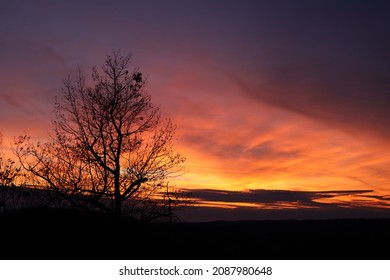 Late Autumn Sunset In Westchester County, New York