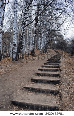Late autumn view of the mountain ridge with birch trees and man-made stairway leading to the mountain top in the way to Kok-Zhailyau Plateau near Almaty, Kazakhstan. Stairs leading to mountain top.
