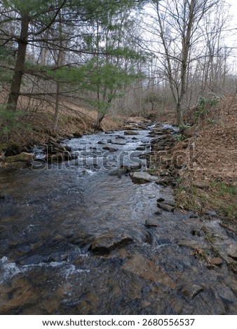 Late fall in the firest