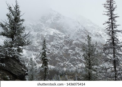 A Late Fall Snowstorm Sweeps Through The Mountains At Grand Teton National Park. 