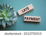 Late payment symbol. Concept word Late payment on wooden blocks. Beautiful grey green background with succulent plant. Business and Late payment concept. Copy space