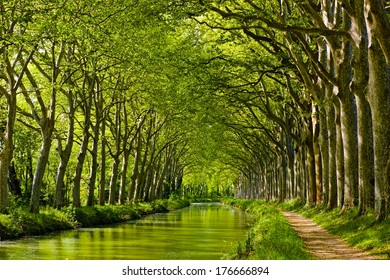 Late spring look on Canal du Midi canal in Toulouse, southern France