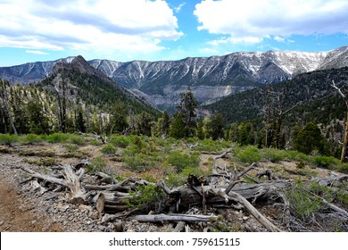 Late Spring Snow Remains Along The Higher Elevations Of Mount Charleston In Spring Mountains National Recreation Area Near Las Vegas, Nevada