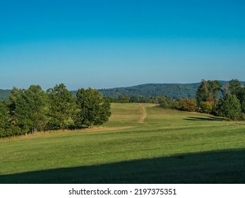 Late Summer Green Meadow With Tree And Forest And Clear Blue Sky, Natural Background