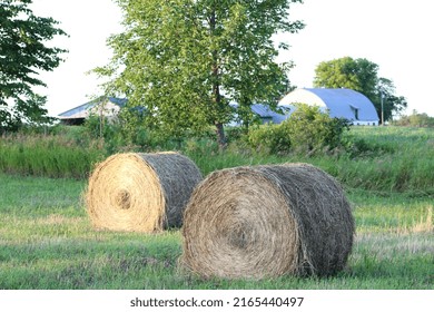 Late Summer Hay Bales In Rural Ontario.