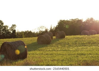 Late Summer Hay Bales In Rural Ontario.