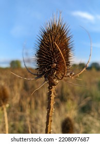 A Late Summer Landscape In Delft And Delfgauw