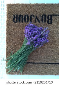 Late Summer Lavender Harvest In The Cottage Garden - Morning Coffee