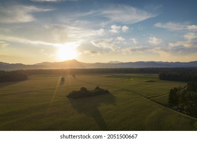 Late Summer Sunset Over The Field