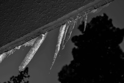Late Winter Icicles Dripping Themselves Slowly Into Oblivion.
