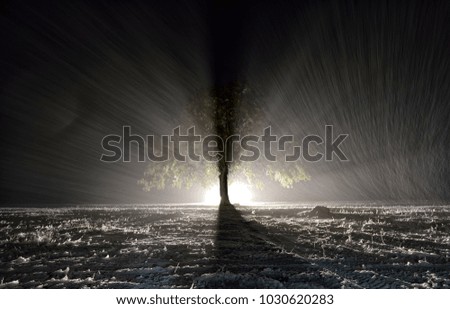 Similar – Nebelbaum Baum Nacht