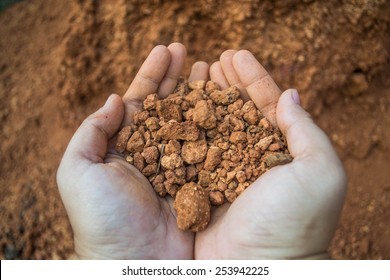 Laterite Soil On Hand